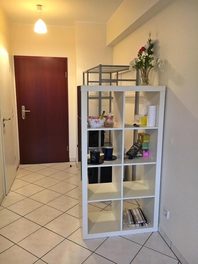 Cozy Studio Apart - King Bed - Netflix - Projector - Fast Wi-Fi Люксембург Екстер'єр фото